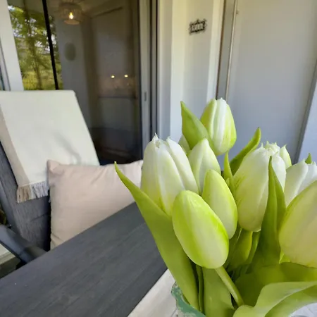 Vakantiehuis Haus Alter-seedeich - Hooksiel *