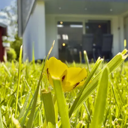 Haus Alter-seedeich - Hooksiel Schillig