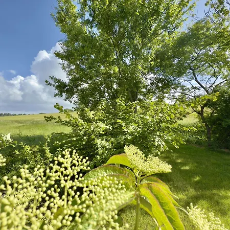Haus Alter-seedeich - Hooksiel Vakantiehuis *